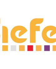 Dr.rer.oec. Thomas Siefer Logo
