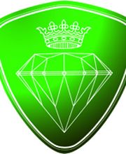 Perfect Nano Logo