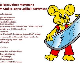 Scheibendoktor Mettmann Logo