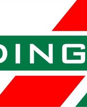 Staudinger DL Logo