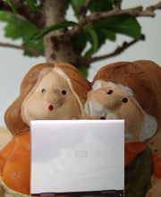 Das Homepageteam. Logo