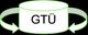 Logo mit der Aufschrift "GTÜ" in einem weißen Oval mit grünen Pfeilen auf schwarzem Hintergrund.