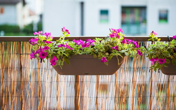 Weidenmatte an Balkongeländer mit Blumenkübel.