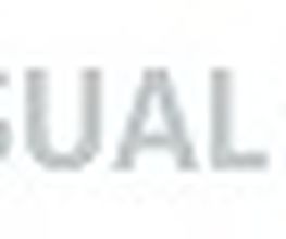 VISUAL WORLD Logo