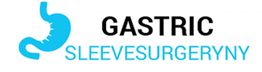 Stomach icon with text "Gastric Sleeve Surgery NY" in black and blue.