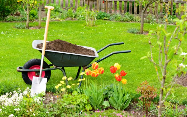 Garten und Gräber – mit professioneller Hilfe gestalten und pflegen