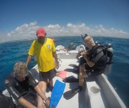 Personas en bote preparándose para bucear en el mar bajo un cielo azul.