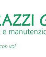 Logo von "Pedrazzi Giardini" mit grünem Text über Gartenbau und Wartung.