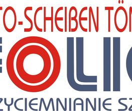 Scheibentoenung Logo