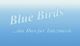 Text mit "Blue Birds ...das Duo für Tanzmusik" auf blauem Hintergrund.