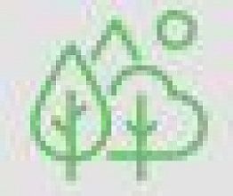 Simple green line art of trees and a sun in the background.