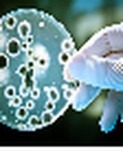 Sachverständigenbüro Produkt- und Betriebshygiene Logo