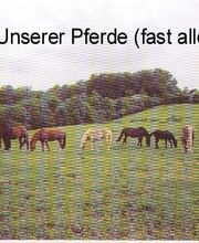 Unsere Pferde