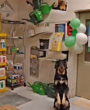 Der Laden