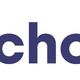 Logo met de tekst "deschouw" in donkerblauwe letters op een witte achtergrond.