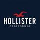 Hollister-logo met rode meeuw en tekst "HOLLISTER CALIFORNIA" op een donkere achtergrond.