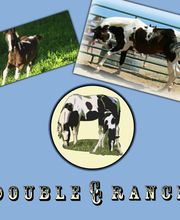 Double C Paints Logo