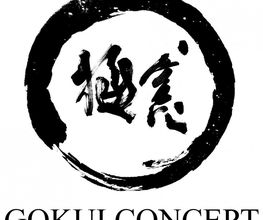 GOKUI Concept GmbH Logo