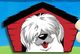 Cartoon shaggy dog with red tongue in a red doghouse, set against a blue sky background.