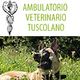 Cane sdraiato sull'erba con logo "Ambulatorio Veterinario Tuscolano".