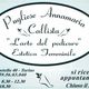 Callista estetica femminile a Torino, orario: 8:30-12:30, 14:30-18:30. Chiuso lunedì. Su appuntamento.
