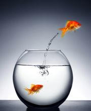 Karriere-Coaching-Stuttgart Logo