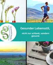 Präventions-Center Dannfels Logo