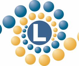 Fahrschule-Nett Logo