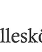 Die ( fast ) Alleskönner Logo