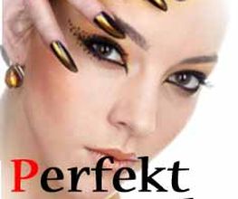 Nagelstudio Perfekt Style Logo