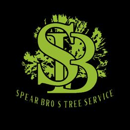 Green "SB" logo with tree silhouette and "Spear Bro's Tree Service" text below on black background.