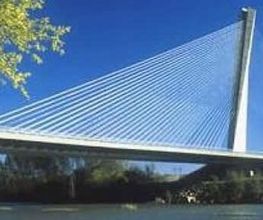 Puente atirantado sobre un río con cielo azul y árbol a la izquierda.