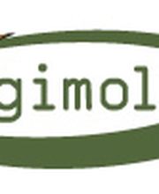 Digimold 3D Scan Logo