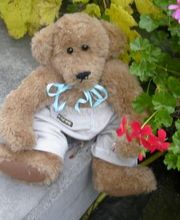Teddybären