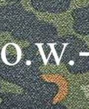 s.n.o.w.-kempten Onlinehandel Logo