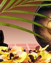 Sudarats Thaimassage Logo