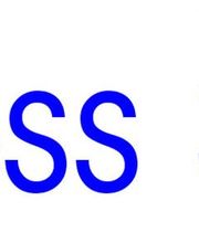 Business Solutions GmbH Logo