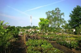 Garten mit blühenden Pflanzen, Bäumen und grünem Rasen unter blauem Himmel.