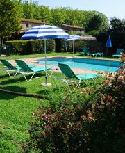 Piscina al aire libre con tumbonas verdes y sombrillas azules, rodeada de árboles y arbustos.