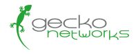 Grünes Gecko-Logo mit dem Schriftzug "gecko networks" in grauer und grüner Schrift.