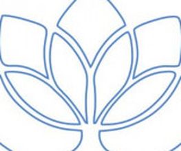 Feine Optik Logo