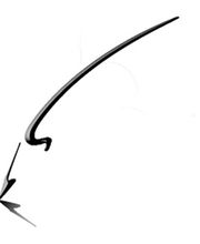 Andrea Walla, Malservice Logo