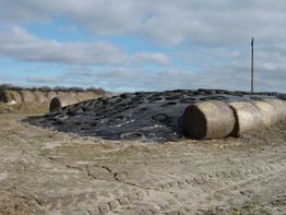 Heuballen auf einer Wiese, abgedeckt mit Planen und Reifen, unter bewölktem Himmel.