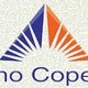 Logo triangolare blu e arancione con testo "Zigrino Coperture" sotto.