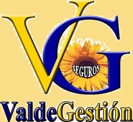 Logo de ValdeGestión con letras V y G, girasol y la palabra "seguros" en el centro.