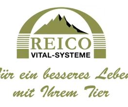 Reico Systemberatung Juliane Hoffmann Logo