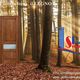 Porta di legno in un bosco autunnale con logo e contatti di "Settembre Porte".