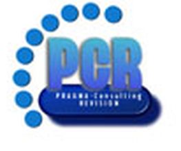 PRAGMA-Consulting Logo