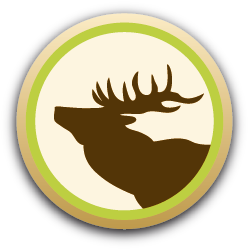 Ein brauner Hirschkopf im Profil in einem runden, zweifarbig umrandeten Emblem.