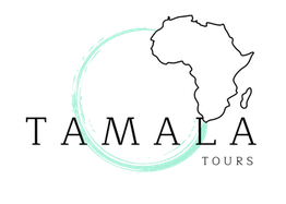 Un círculo azul claro con el contorno del mapa de África dentro.